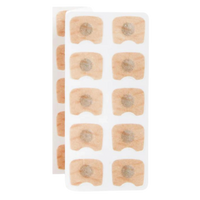 Ten Rengi